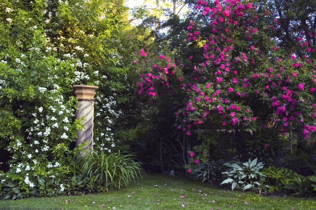 Entrance to the Shade Garden