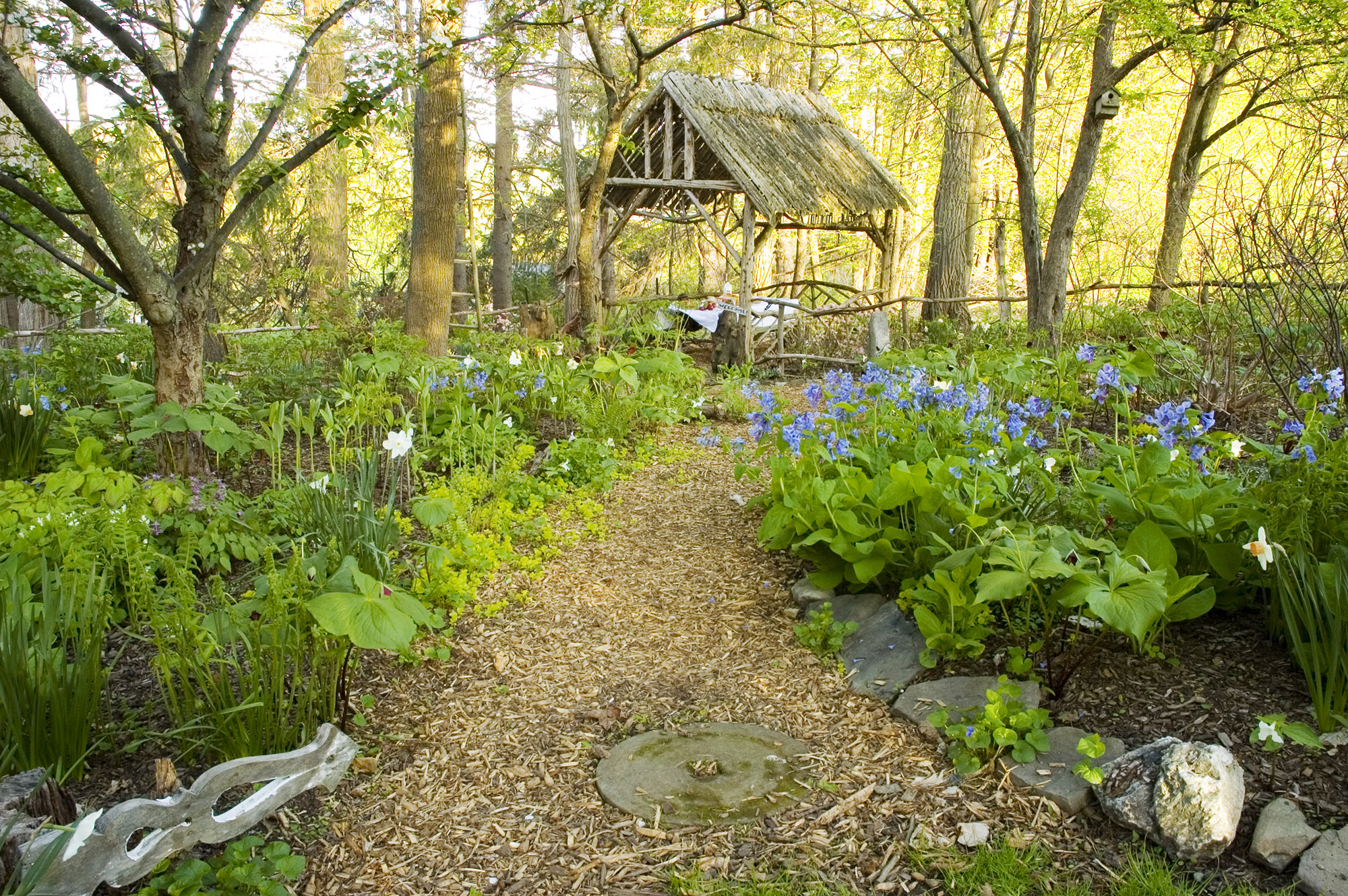 Entrance to Teddy Bear's Shade Garden